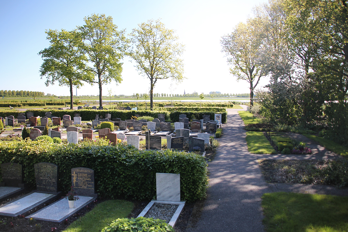Onze serene begraafplaats met pad tussen de graven